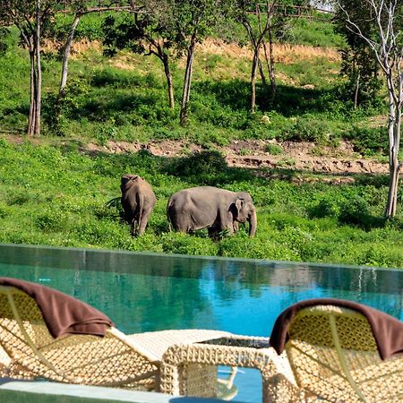 Wild Cottages Elephant Sanctuary Resort Nathon Bay Exterior foto