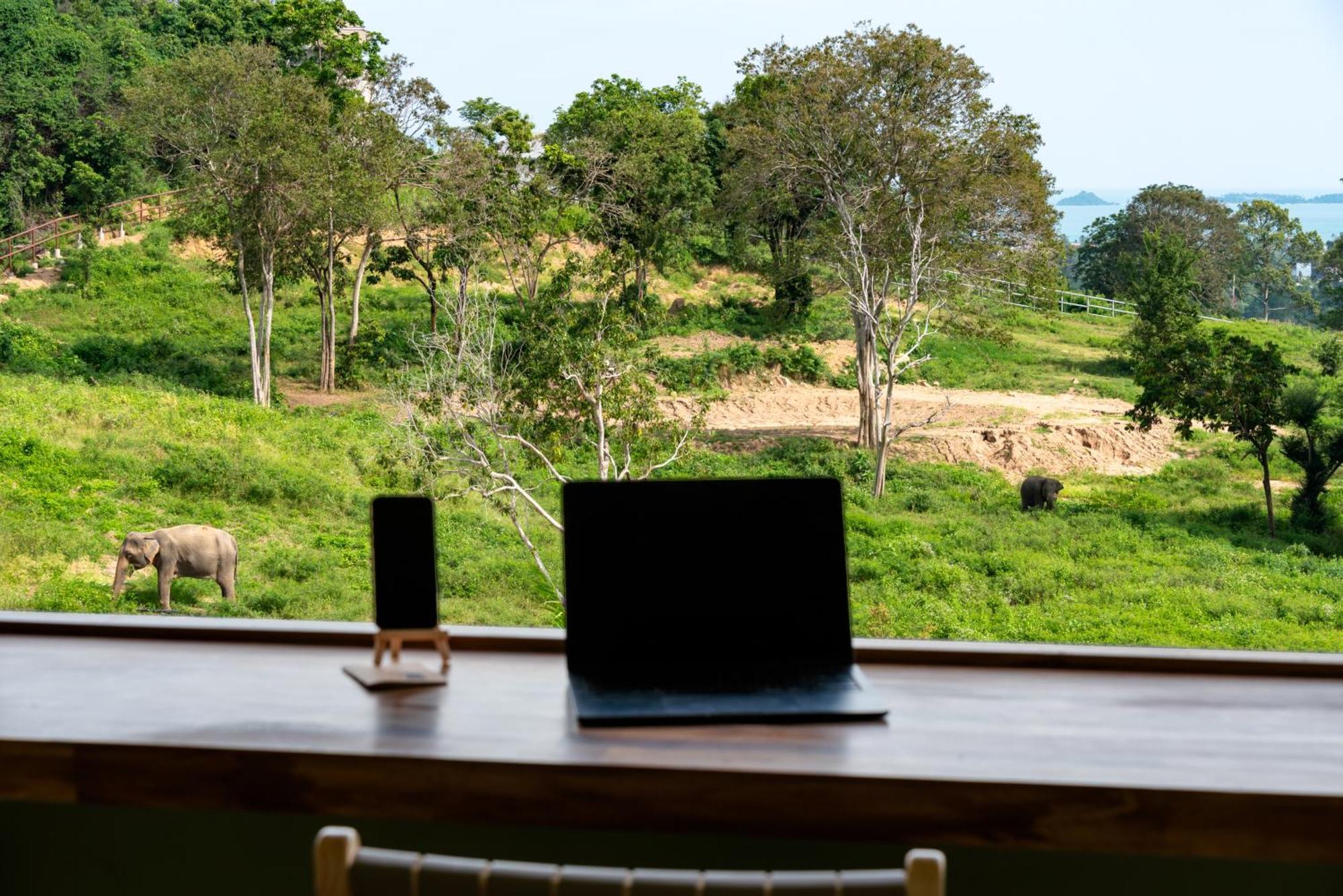 Wild Cottages Elephant Sanctuary Resort Nathon Bay Exterior foto