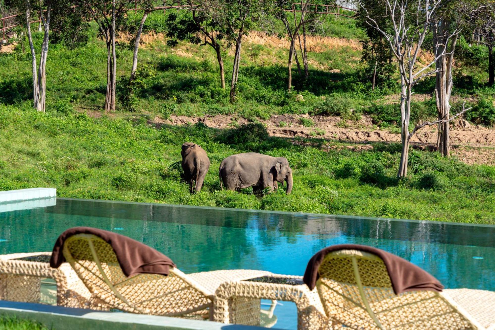 Wild Cottages Elephant Sanctuary Resort Nathon Bay Exterior foto