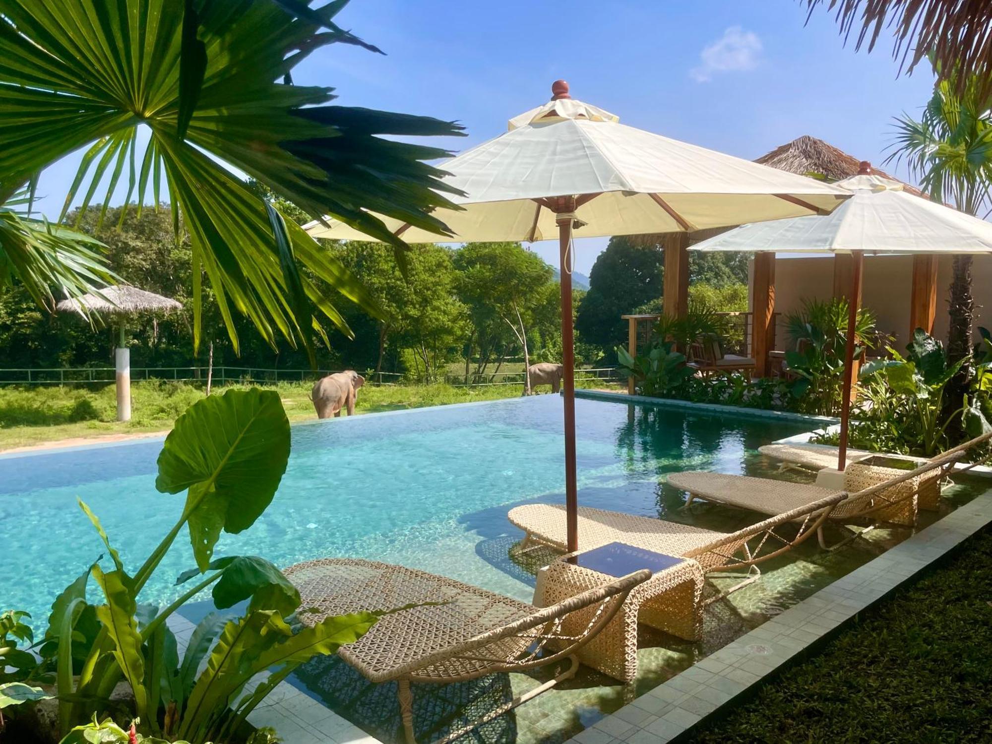 Wild Cottages Elephant Sanctuary Resort Nathon Bay Exterior foto