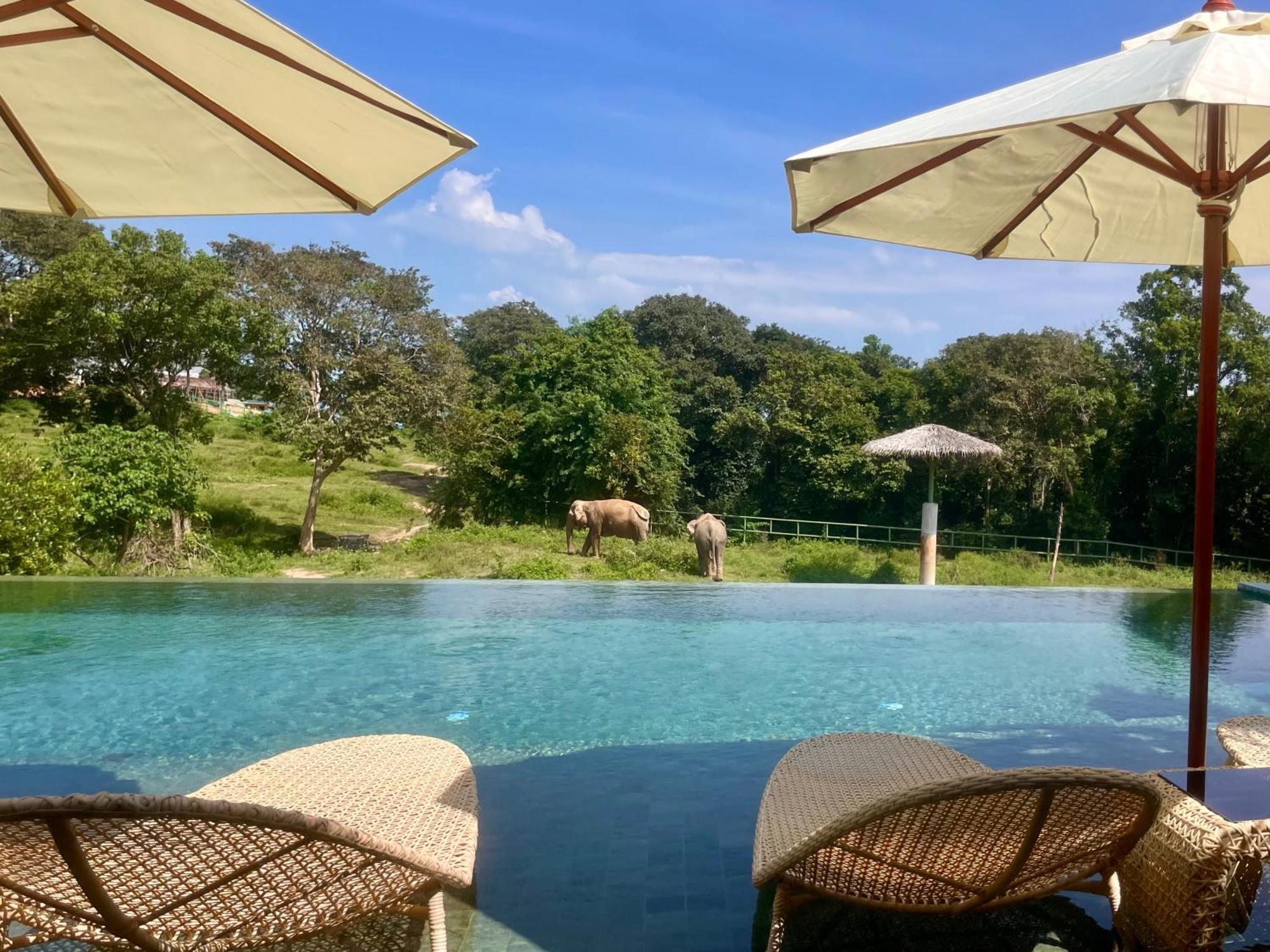 Wild Cottages Elephant Sanctuary Resort Nathon Bay Exterior foto