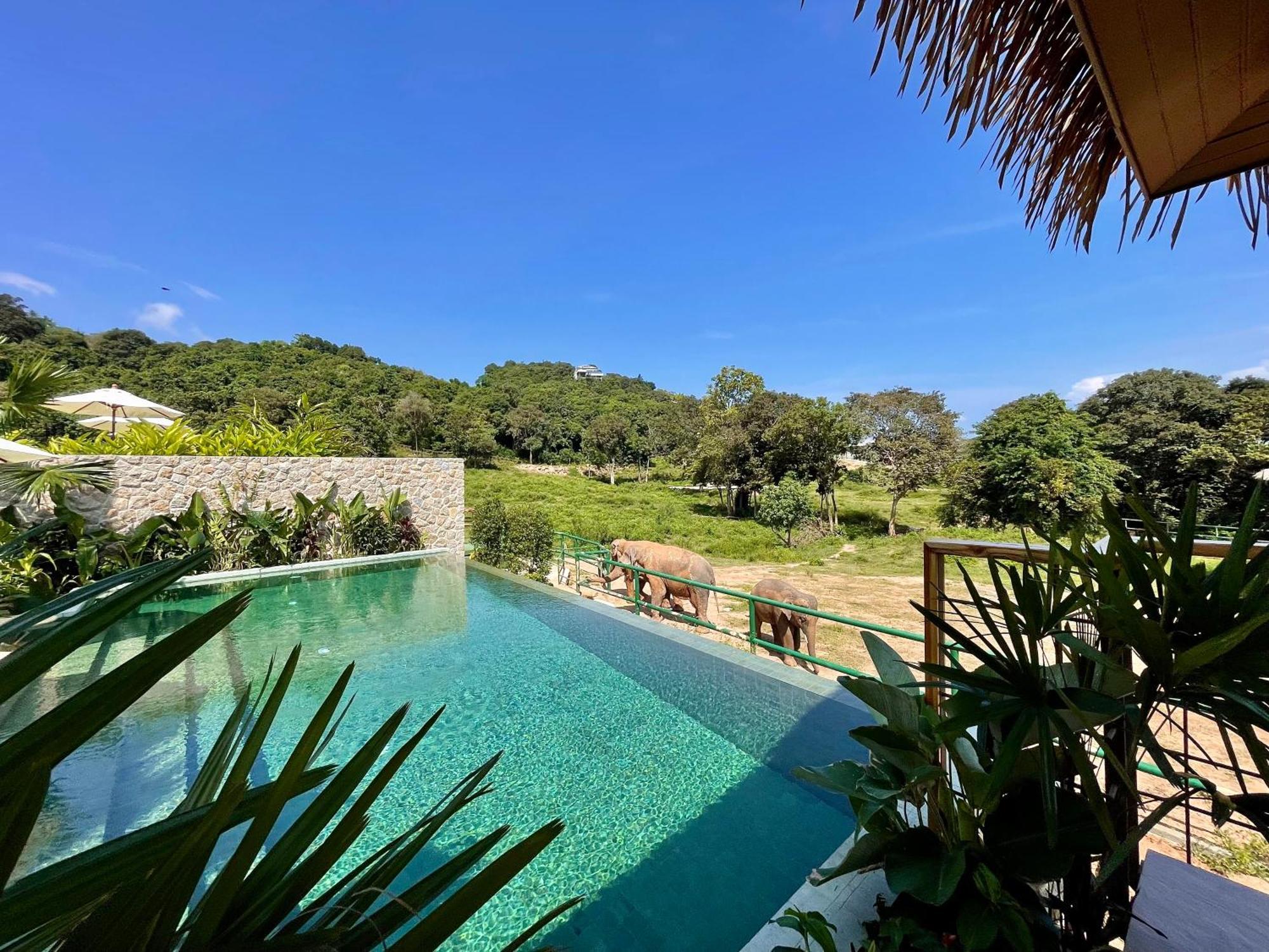 Wild Cottages Elephant Sanctuary Resort Nathon Bay Exterior foto