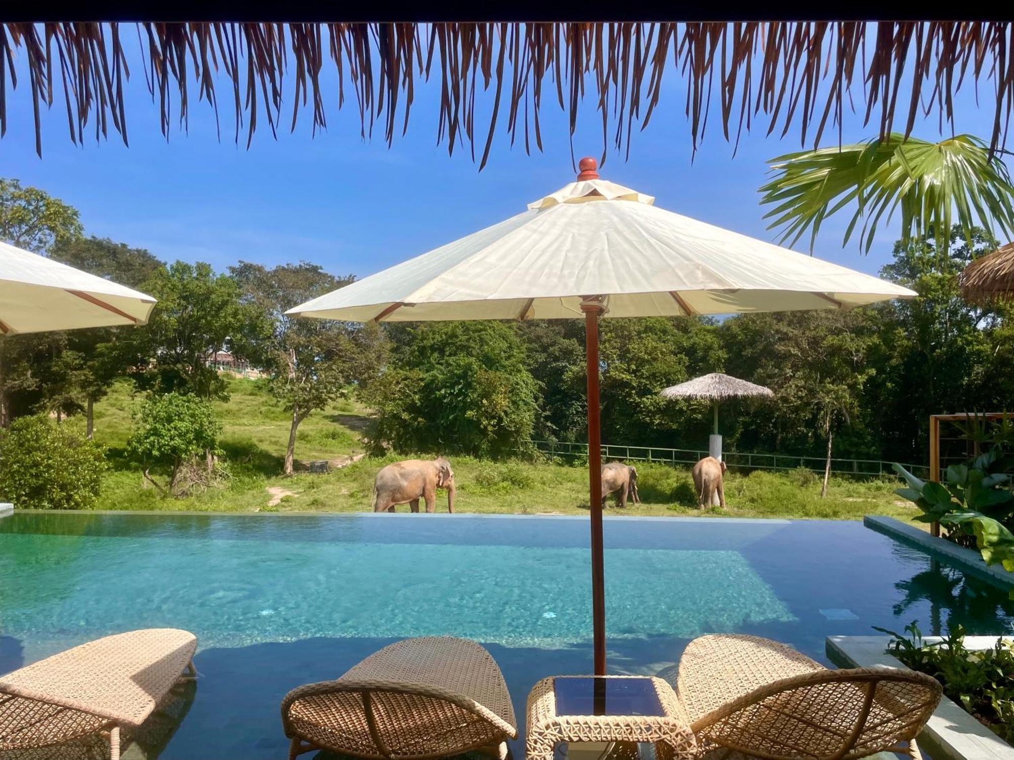 Wild Cottages Elephant Sanctuary Resort Nathon Bay Exterior foto