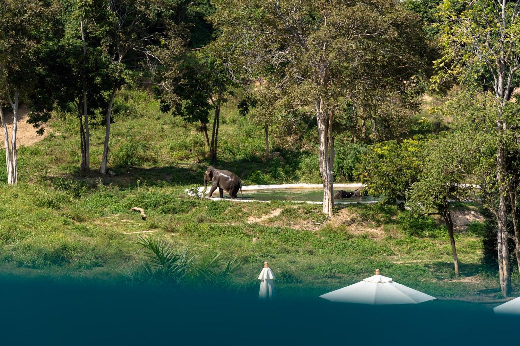 Wild Cottages Elephant Sanctuary Resort Nathon Bay Exterior foto